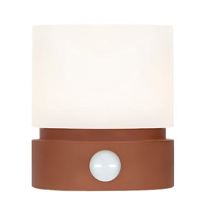 Lampara De Mesa Recargable Con Temporizador Lampara Cilindro